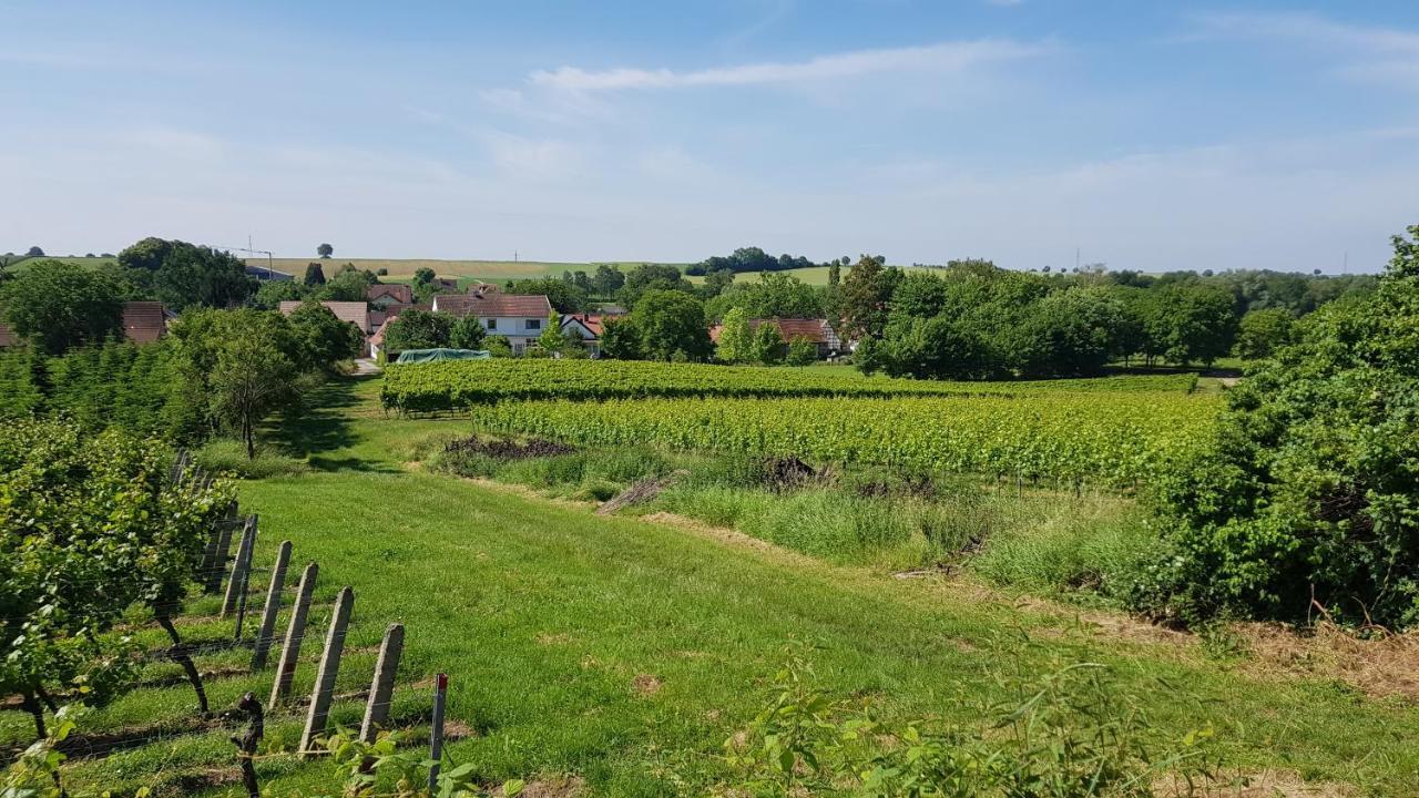Haus Rebenblick Dierbach Exterior foto