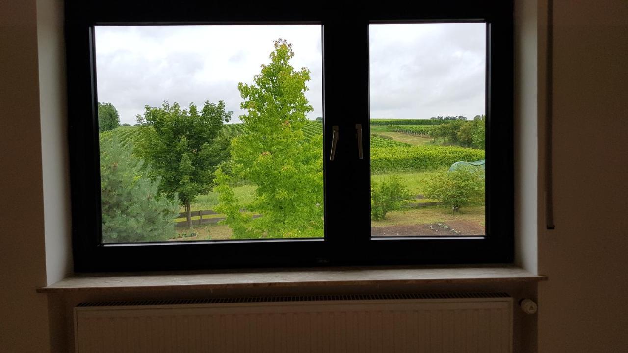 Haus Rebenblick Dierbach Exterior foto